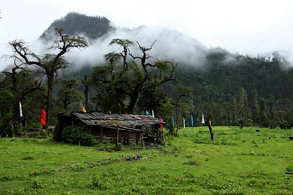 拉薩-羊湖-普姆雍錯-納木錯-林芝-巴松錯-南伊溝-大峽谷-篝火7晚8日