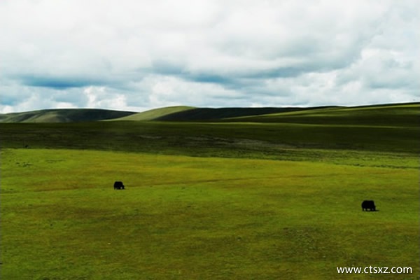 羌塘草原
