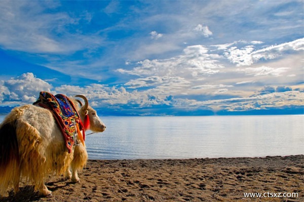 北京到拉薩的機票