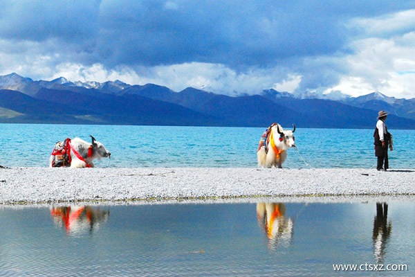 十一去西藏旅游