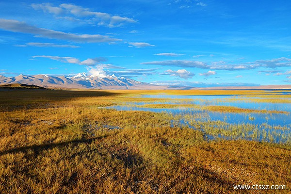 阿里旅游怎么樣