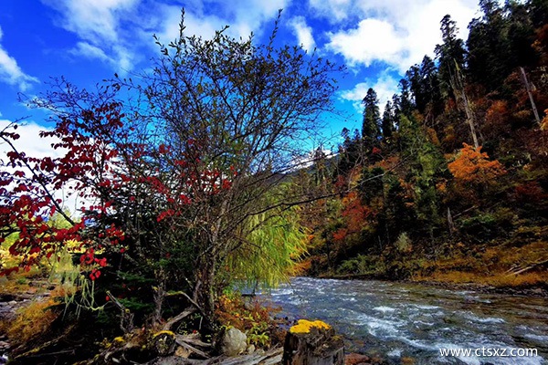 西藏什么時(shí)候去最合適