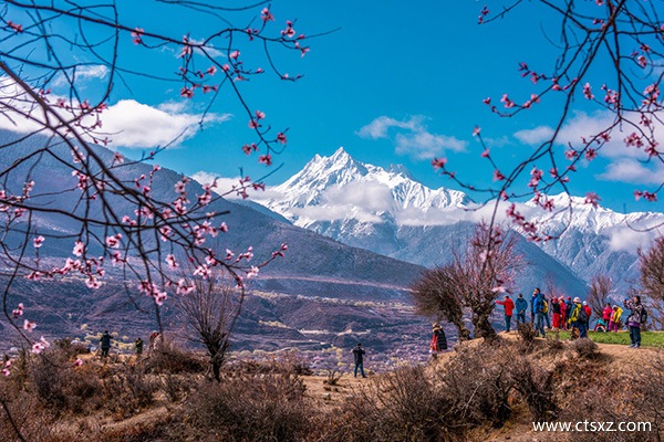 林芝桃花節路線攻略