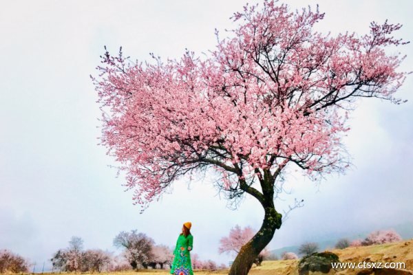 三月去西藏旅游合適嗎