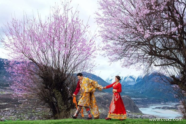 去西藏旅游的最佳季節