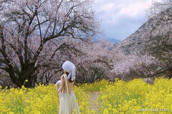 去西藏旅游跟團游多少錢