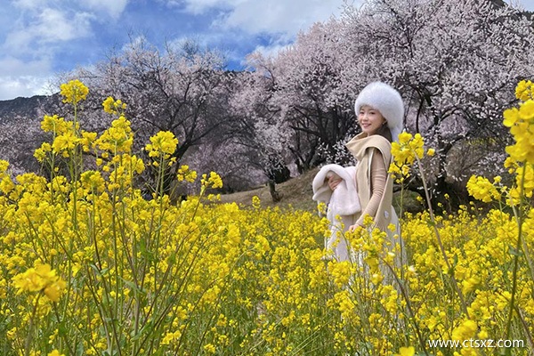 西藏旅行社排名前十位