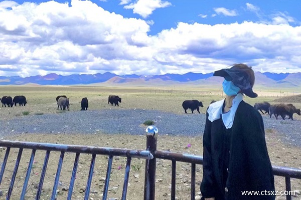 西藏8天旅游路線推薦