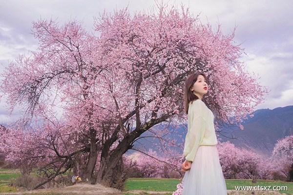 跟團去西藏玩一趟多少錢