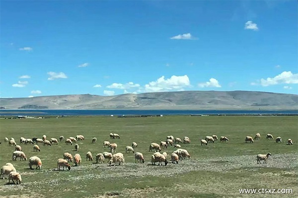 上海直達(dá)拉薩的最美火車