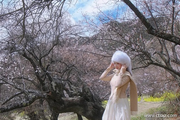 去西藏跟團多少錢