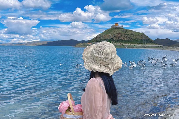 西藏10天報(bào)團(tuán)多少錢