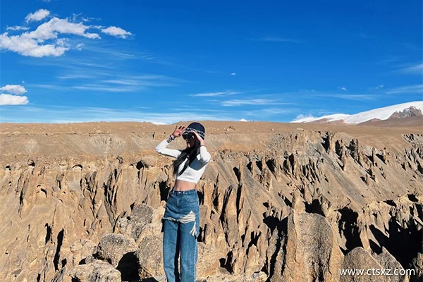 去西藏10天旅游團